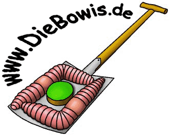 Logo BoWis Farb Netz